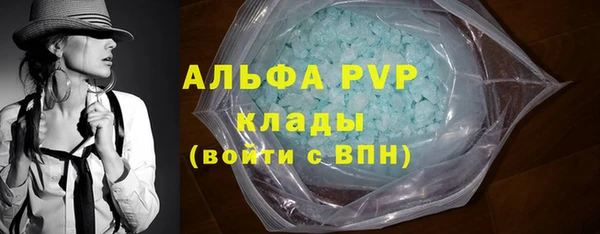 PSILOCYBIN Баксан